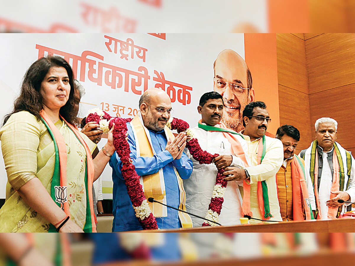 BJP not at peak yet, push harder: Amit Shah to partymen