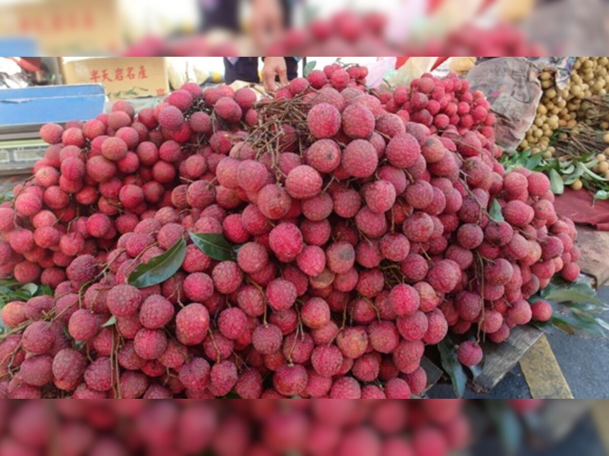 Malnourished children consuming unripe litchis vulnerable to AES: Expert