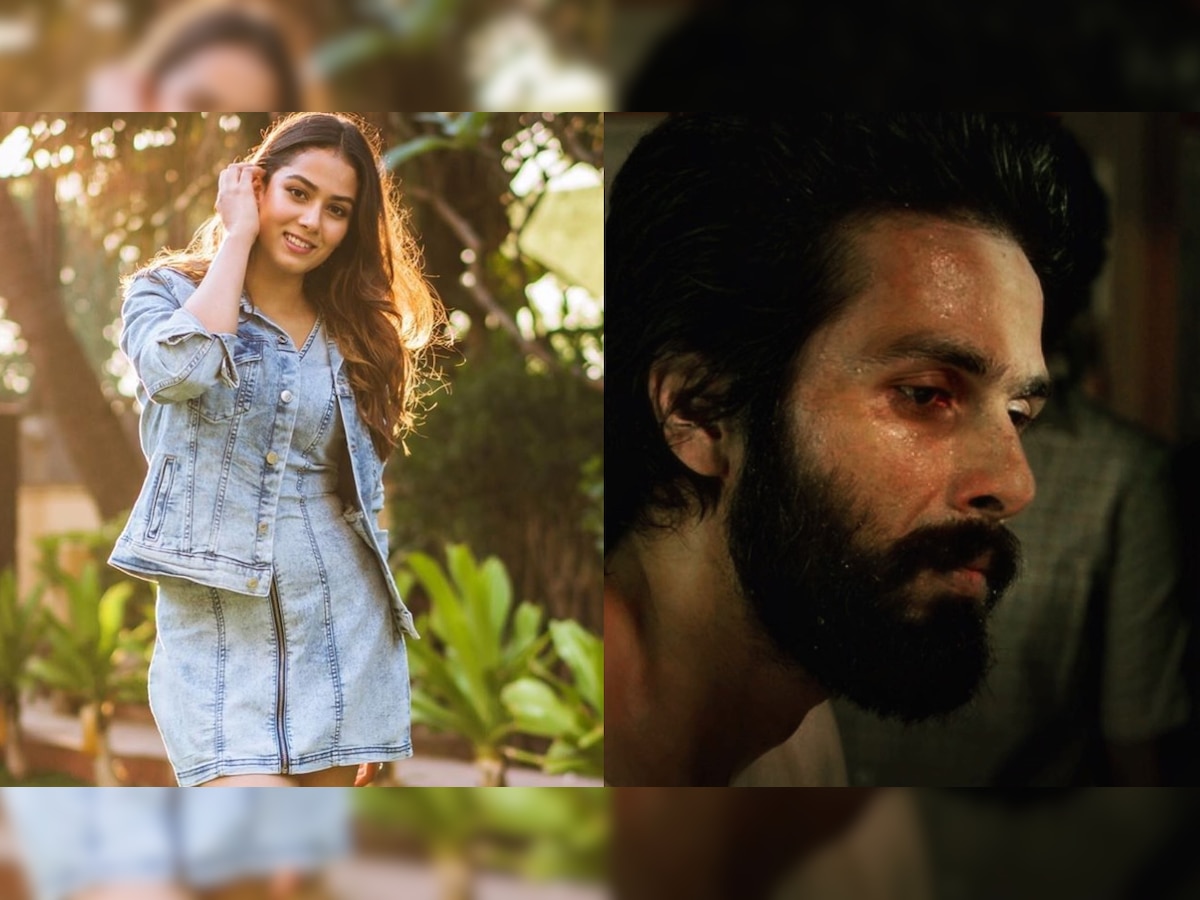 'It's your time to shine': Mira Rajput turns Shahid Kapoor's biggest cheerleader post 'Kabir Singh' release