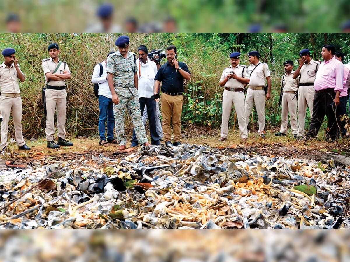 Why were unclaimed bodies not cremated? Bihar govt is clueless