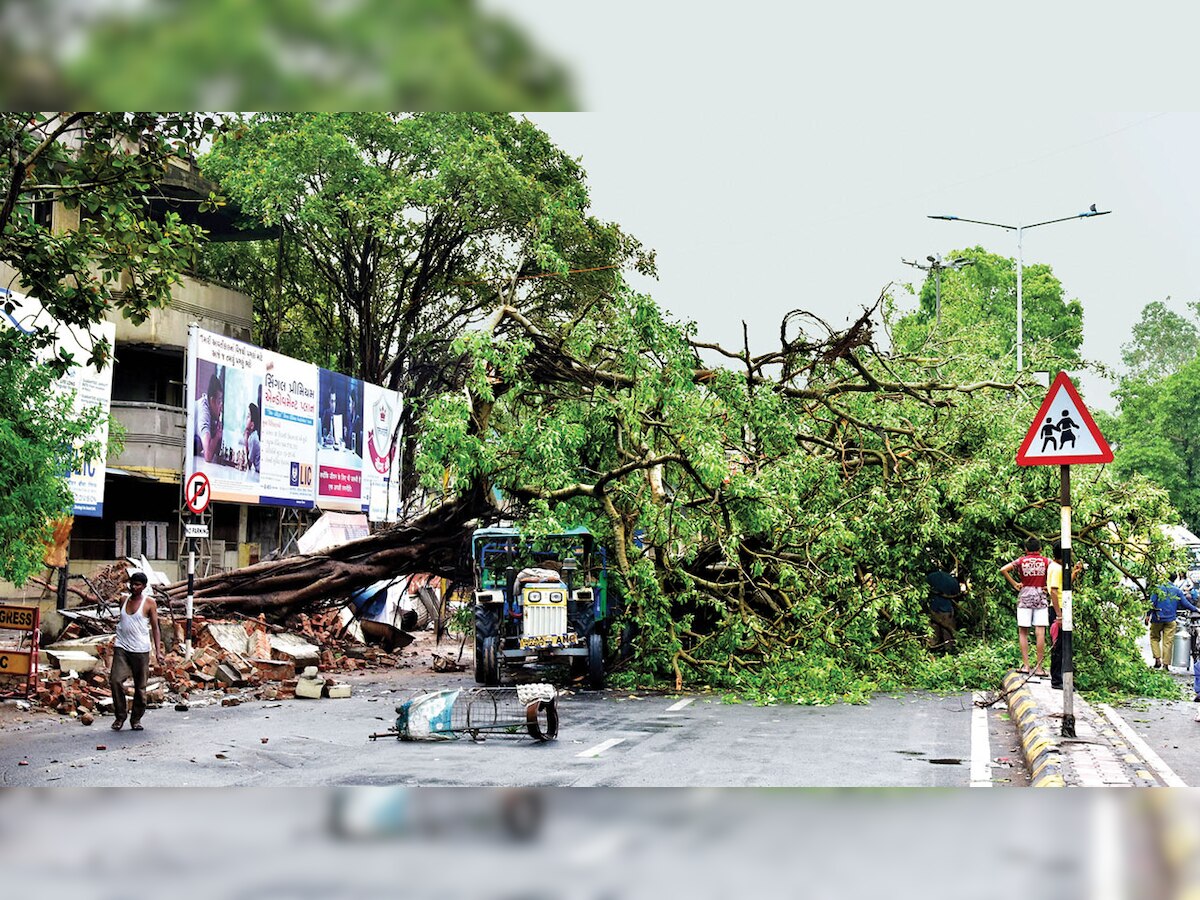 Rains wreaks havoc, uproots 183 trees in Ahmedabad