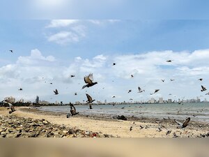 Forget the monsoon you knew, says Met Department