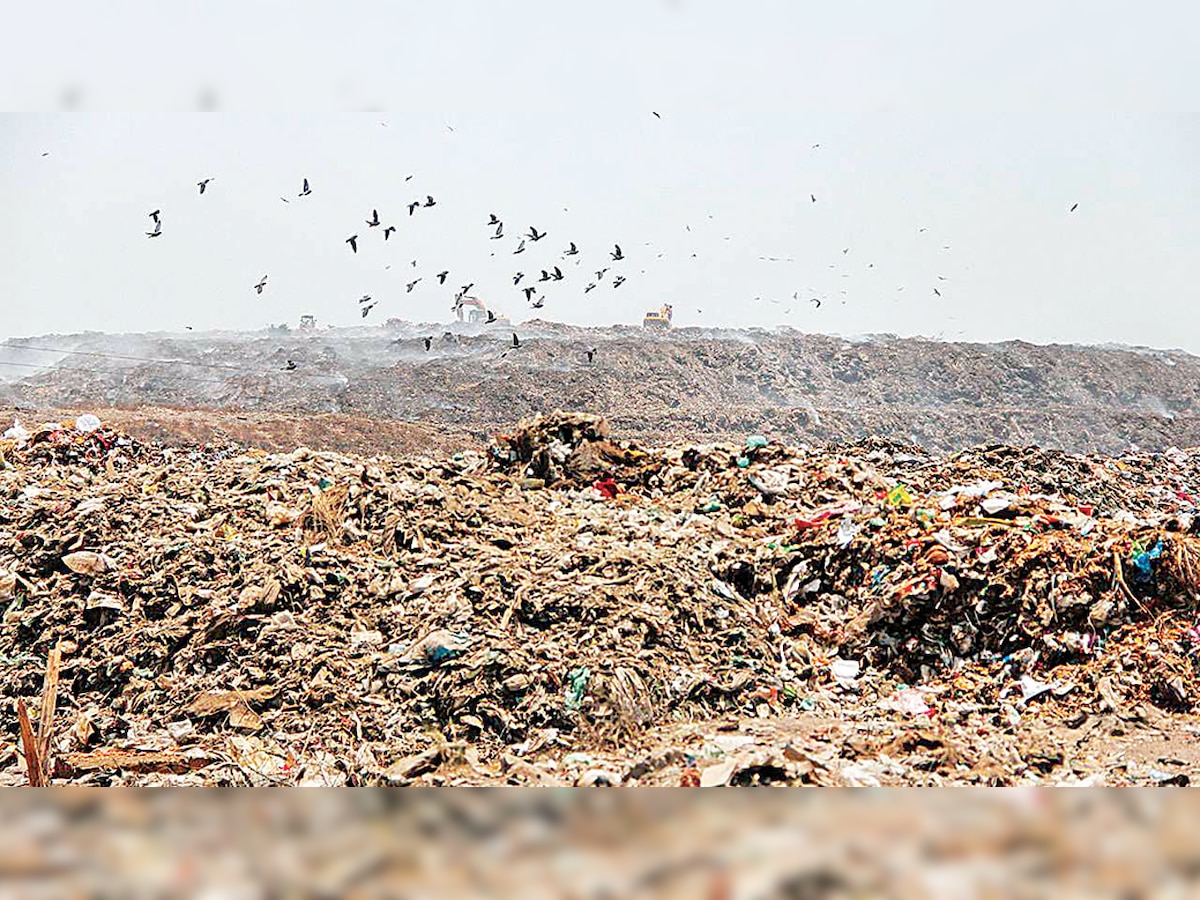 Deposit Rs 75 crore to clear Pirana dump site: National Green Tribunal directs Gujarat govt