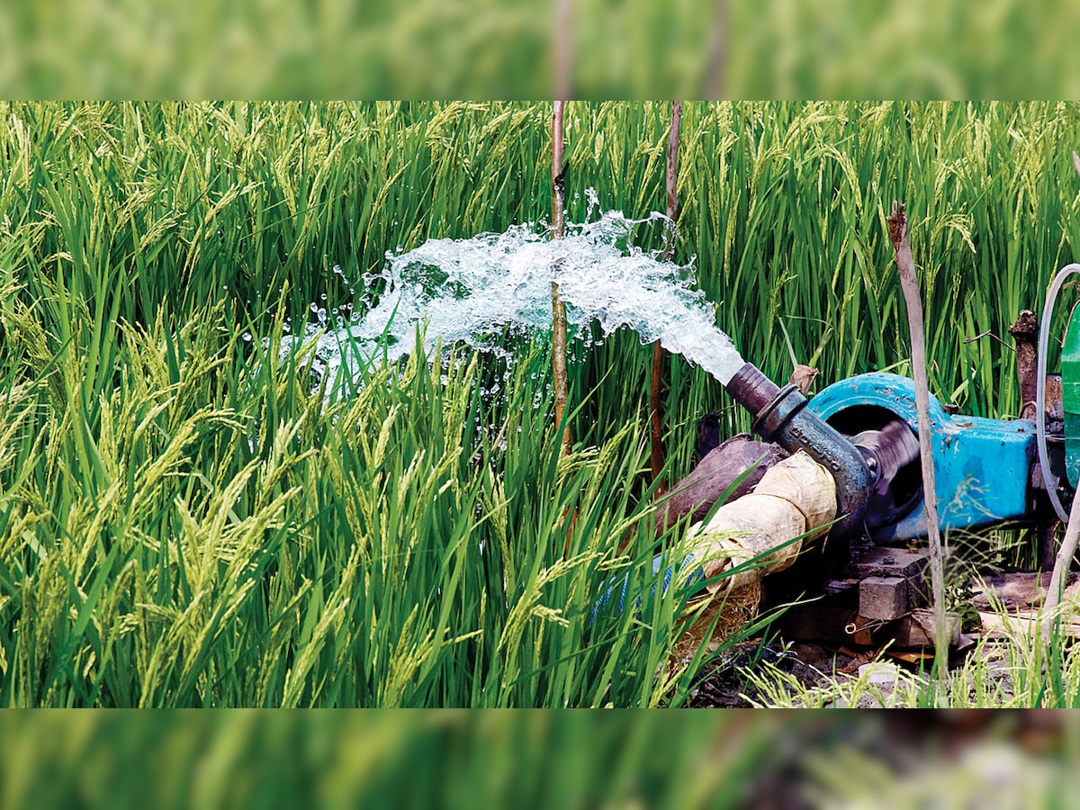 Economic Survey suggests shift to irrigation water productivity