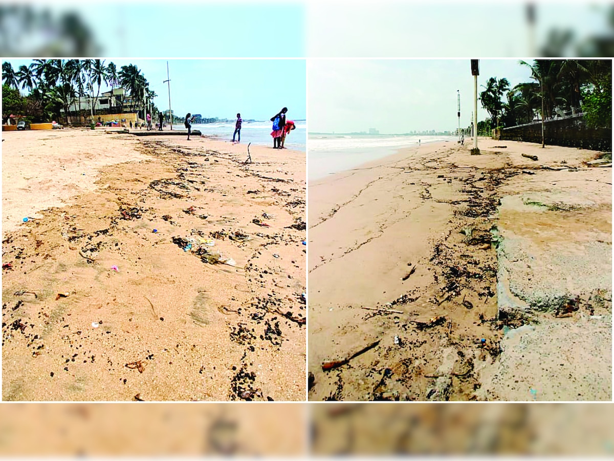 Mumbai: Activists seek probe into tar balls at Juhu beach