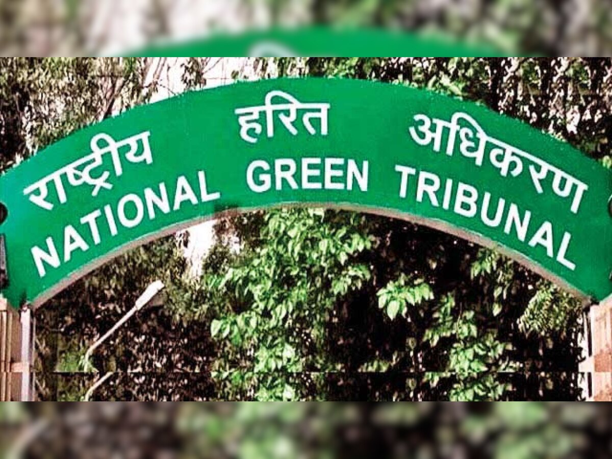 Yamuna river rejuvenation: NGT directs Delhi, Haryana and UP govts to file compliance report