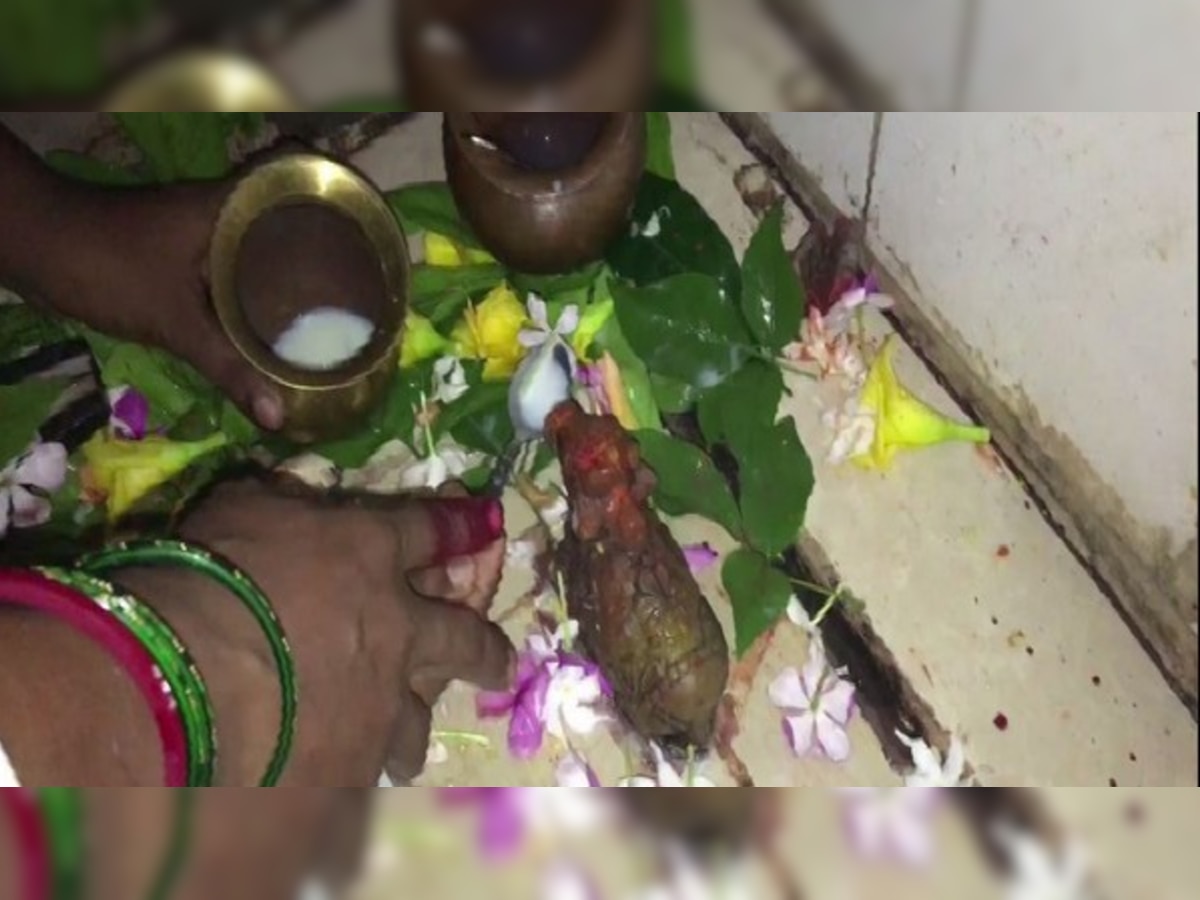 Bihar: Nandi idol in Gaya consumes milk offered by devotees, claim locals