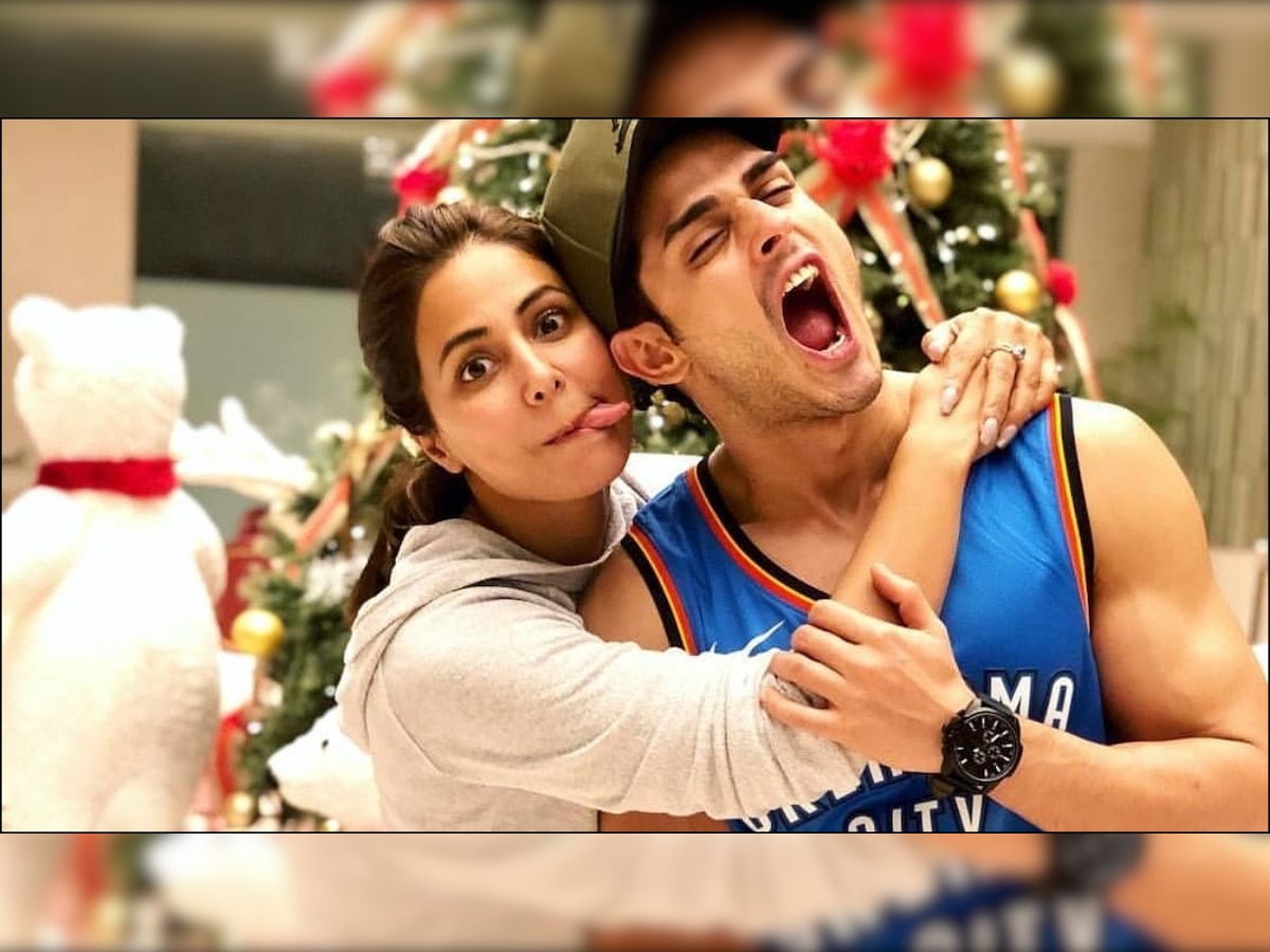 Hina Khan plants a peck on her Bigg Boss bestie Priyank Sharma's cheek on his birthday, Check pics and videos