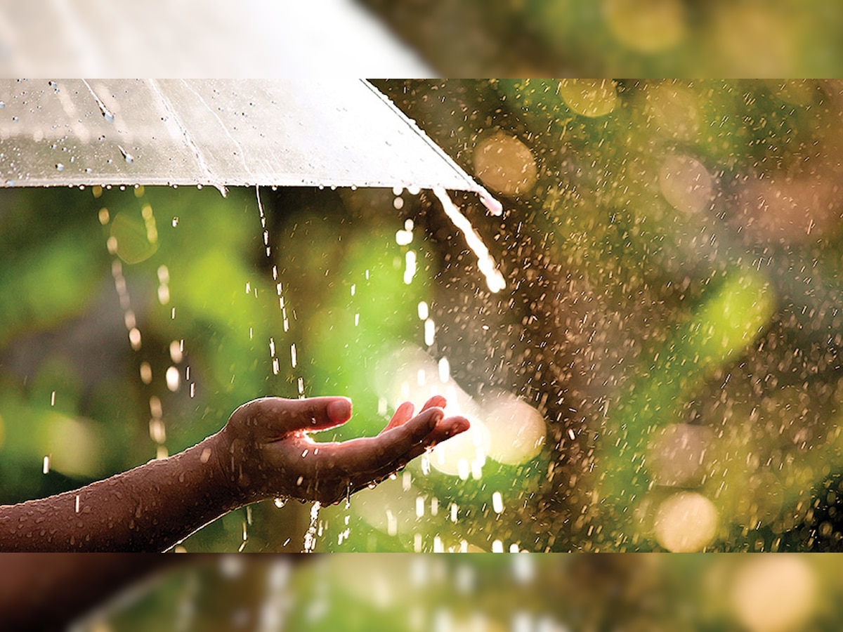 Ayurvedic umbrella: A mantra to monsoon well-being