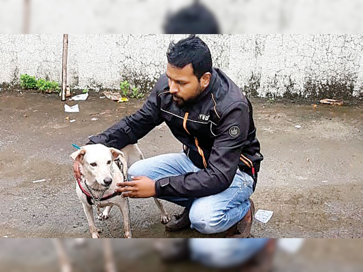 Gujrati Dog And Woman Xcc - Mumbai: Animal lover tracks down perv who forced dog into oral sex in  Kharghar