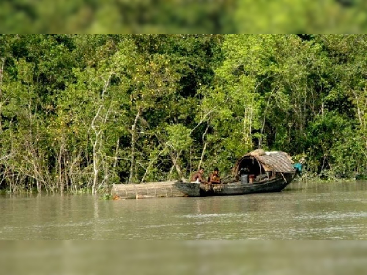 West Bengal: Now, illegal buildings enter Sundarbans