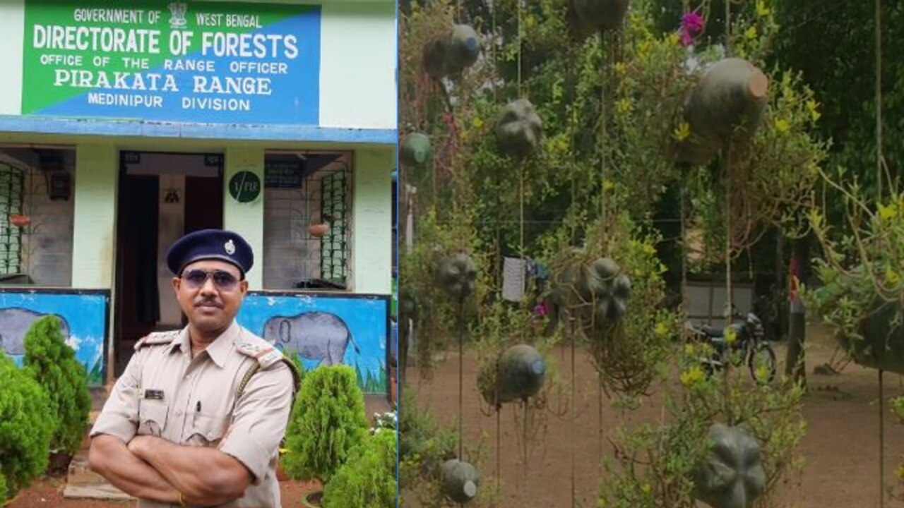 Welcome To Forest Survey of India