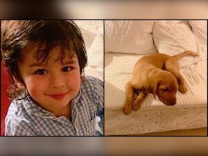 Taimur Ali Khan smiling as he sits besides puppy is cutest thing you'll come across today!