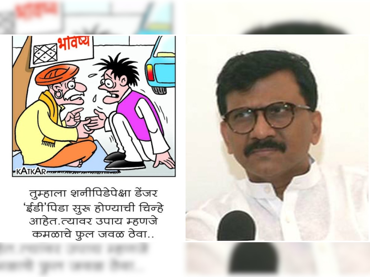 Shiv Sena MP Sanjay Raut shares cartoon mocking ED as he meets Sharad Pawar