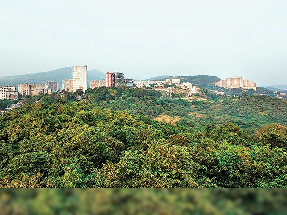 Trees already cleared in Aarey Colony, work will start now: Mumbai Metro Rail Corporation