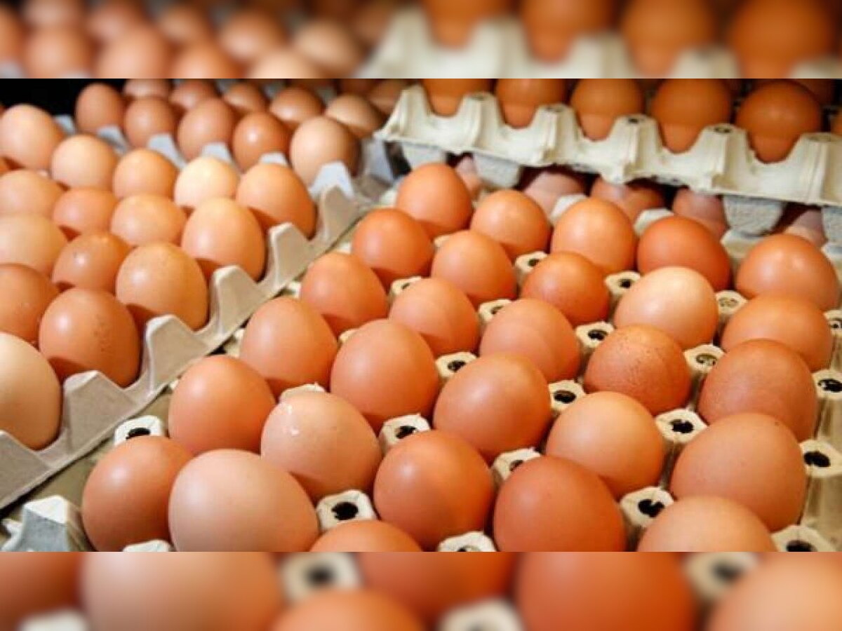 Challenge gone wrong: Man dies in UP after eating 41 eggs for Rs 2,000 bet