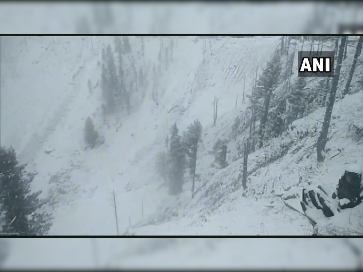 Watch video: Gulmarg in J-K's Baramulla district receives season's first snowfall