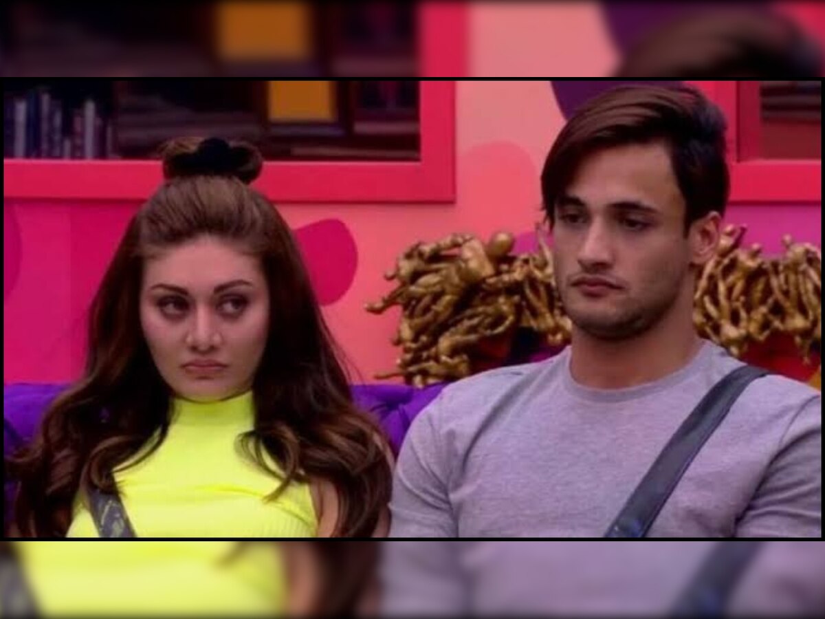 Say what! Bigg Boss 13 'friends' Asim Riaz and Shefali Jariwala to have a showdown