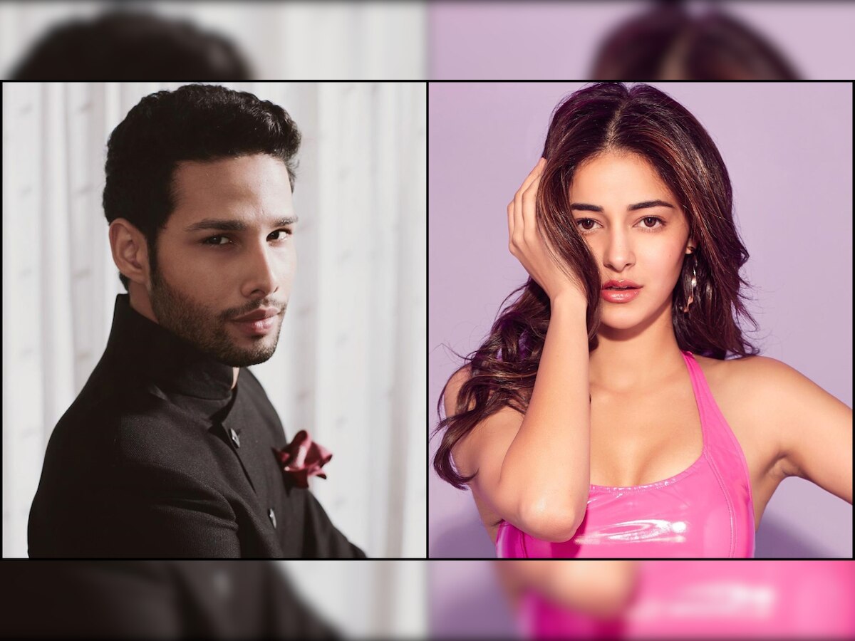 Sidhant Chaturvedi's reply to Ananya Panday's 'my dad never went on Koffee With Karan' statement wins the internet today
