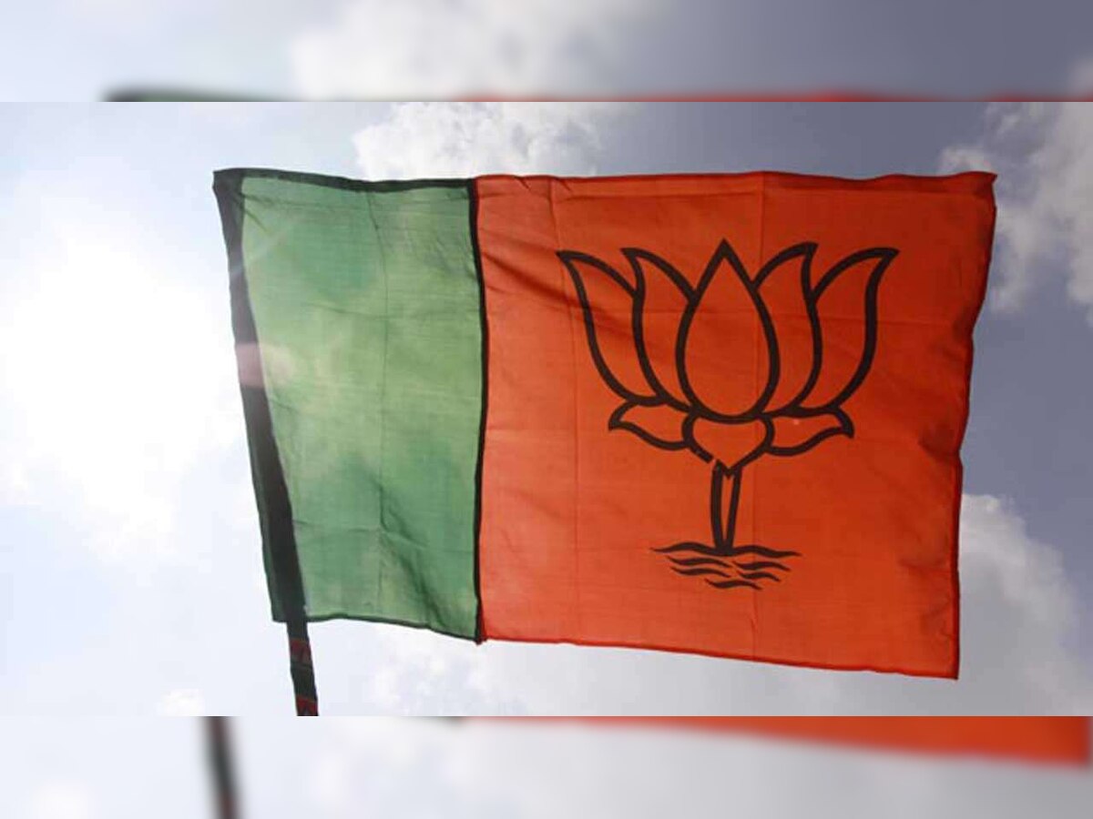 Delhi Assembly Polls 2020: BJP to release election manifesto on Friday