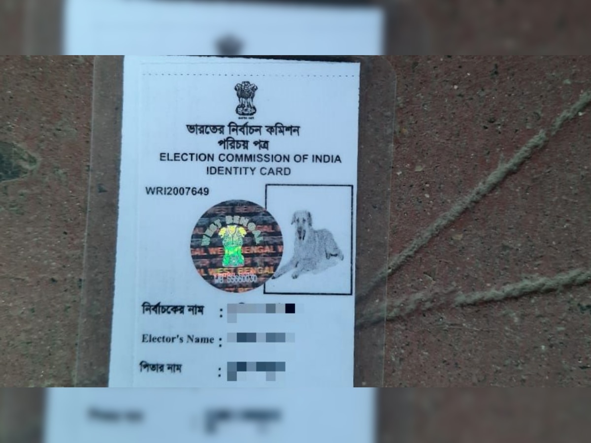 West Bengal: Man issued voter ID card with dog's photo