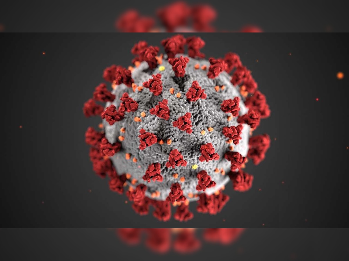 Coronavirus in India: 315 positive cases of COVID-19 infection in country