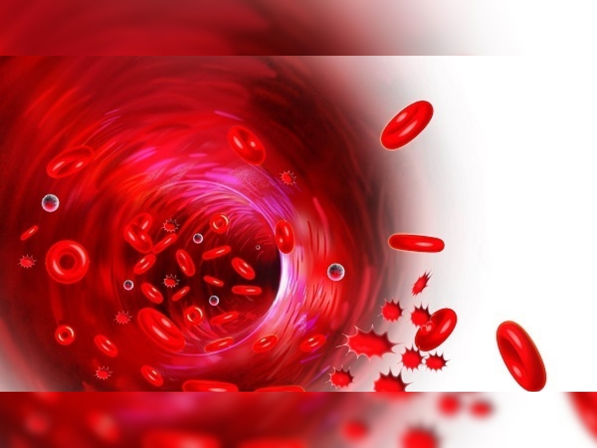 US: Plasma from recovered COVID-19 patients to be used to treat infected people