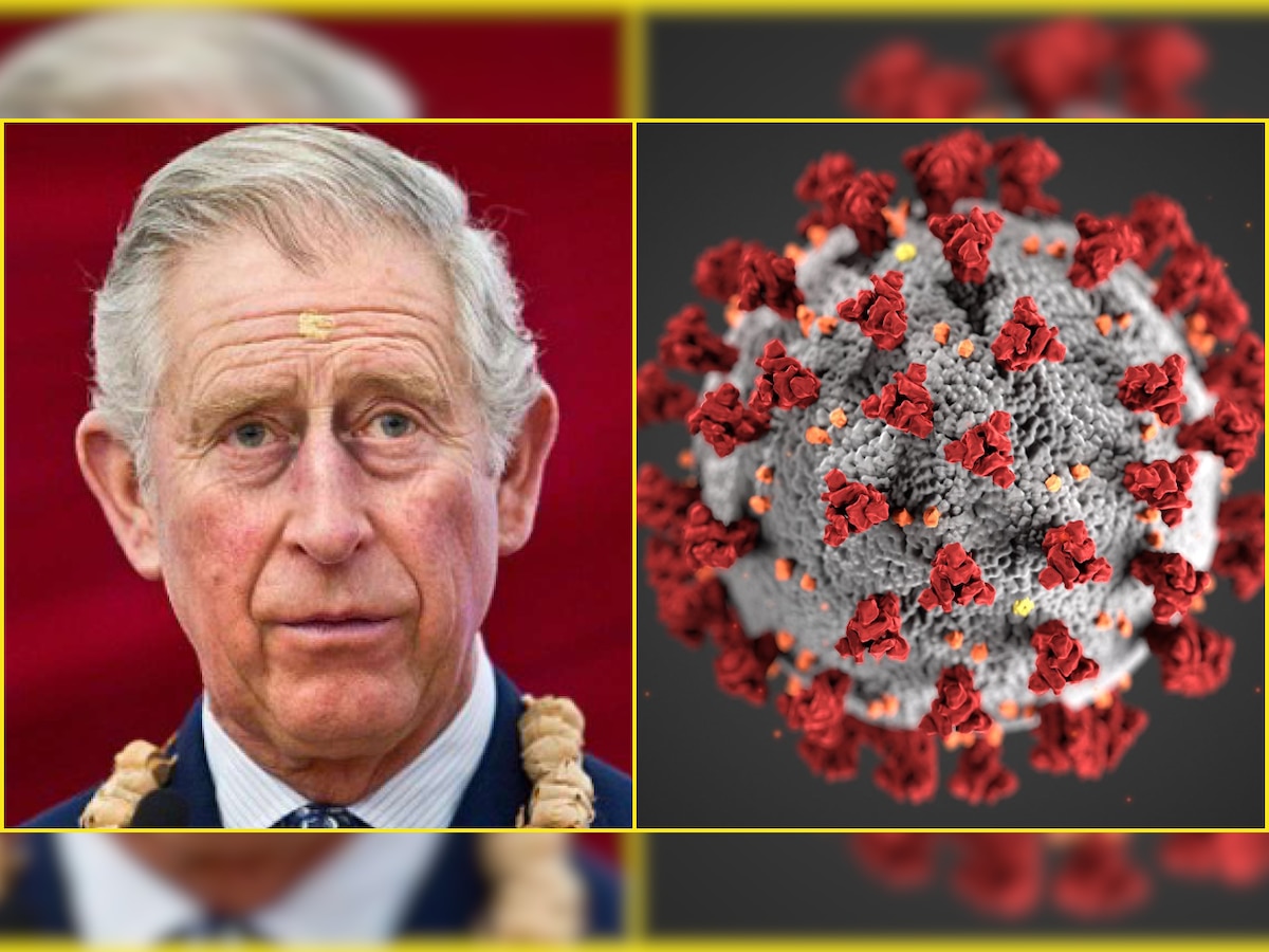 FACT CHECK: Was Prince Charles cured of COVID-19 by Ayurveda as claimed by Indian minister?