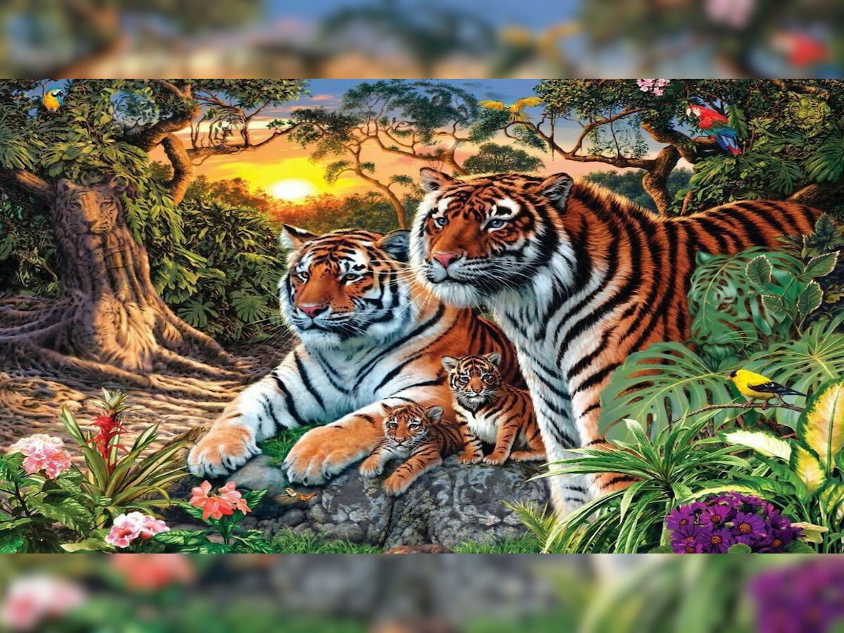 16 tigers are hidden in this picture, Amitabh Bachchan can spot just 11. Can you spot them all?