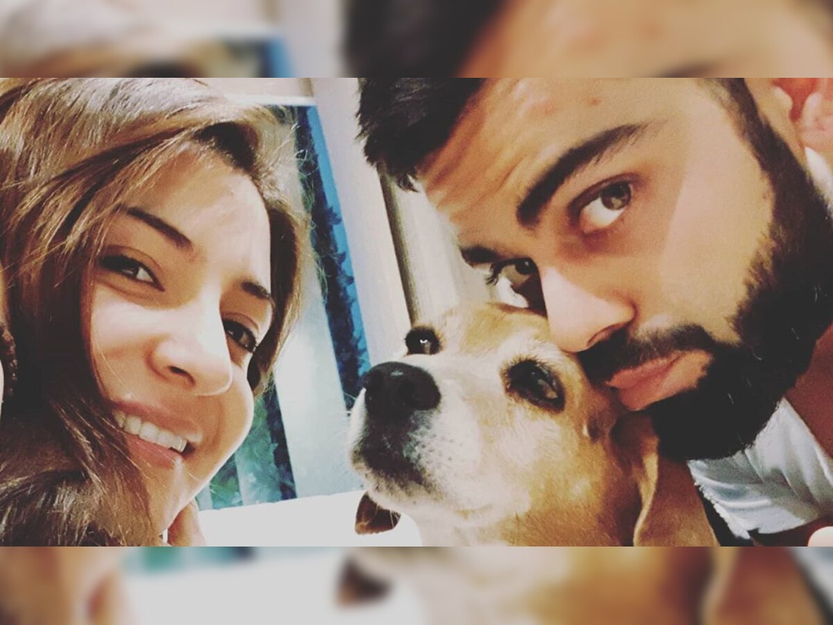 Virat Kohli-Anushka Sharma mourn death of their pet canine Bruno