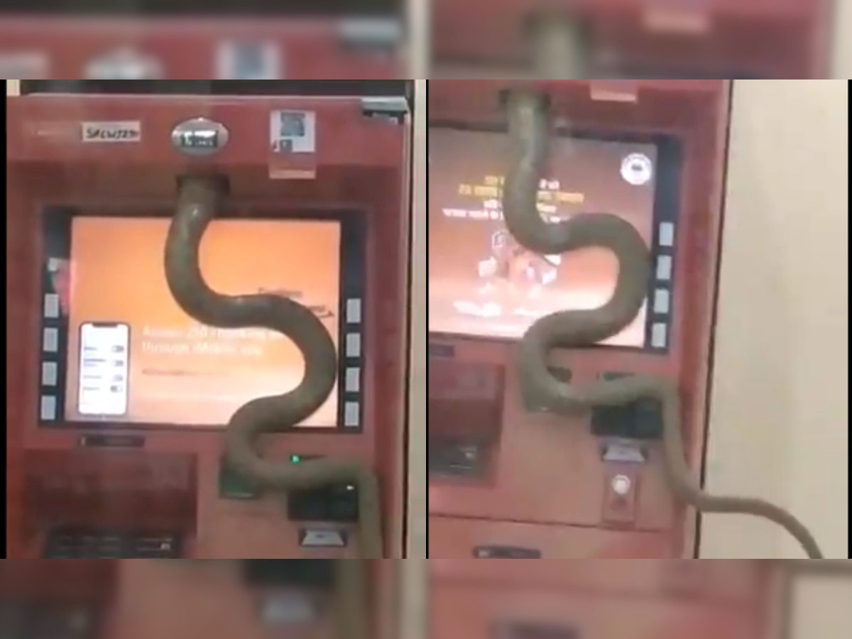 Watch: Video of snake slithering inside Ghaziabad ATM machine will send a chill down your spine