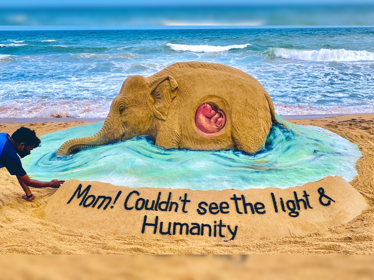 'Humanity has failed again': Sudarsan Pattnaik pays tribute to pregnant elephant killed in Kerala through sand sculpture