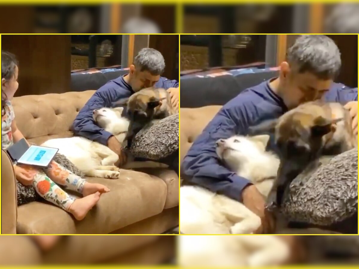 WATCH: This adorable clip of MS Dhoni cuddling his pet dogs will make you go 'AWW'