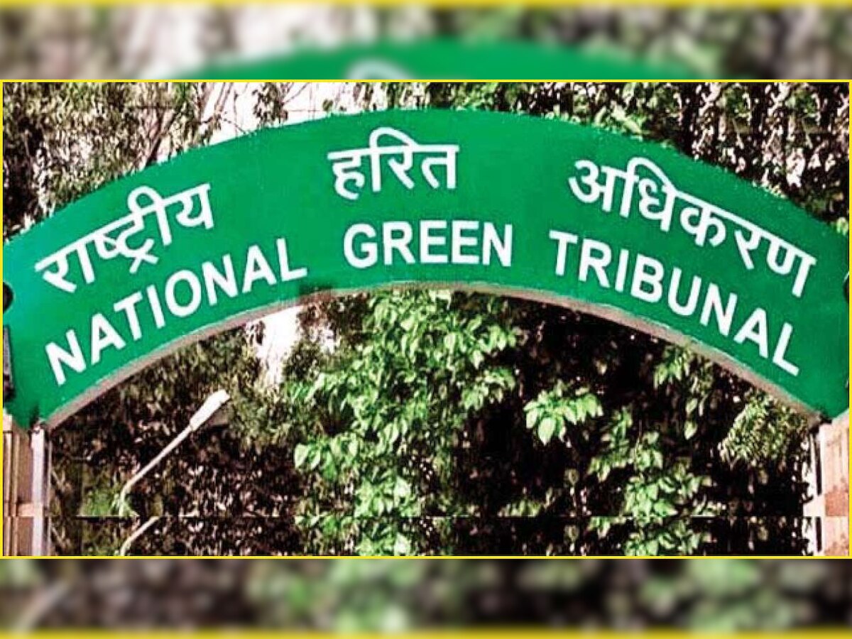 National Green Tribunal takes suo moto cognizance of pregnant elephant's death; forms committee to probe incident
