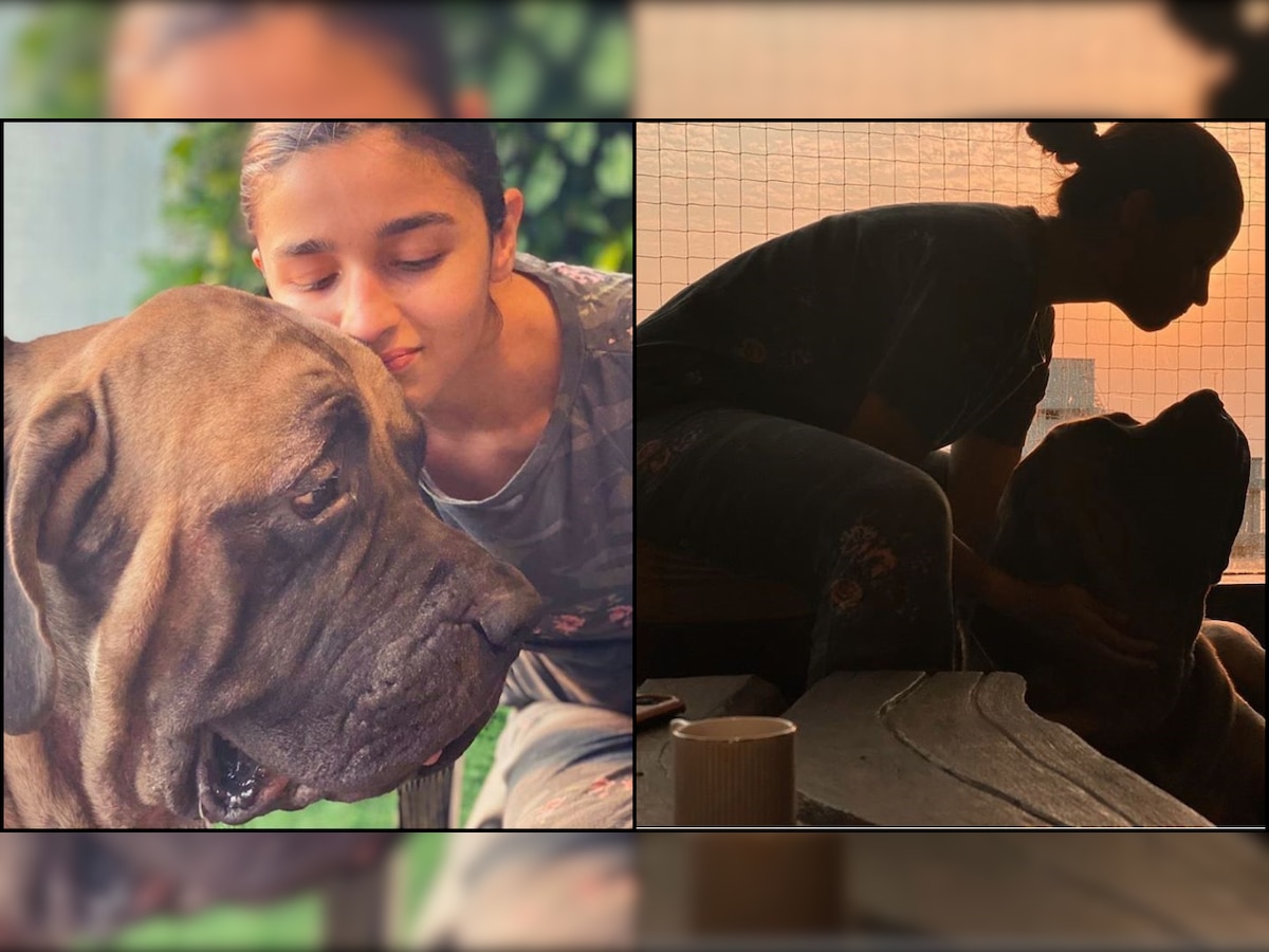 Alia Bhatt chills with Ranbir Kapoor's pet canine and photos are heartwarming