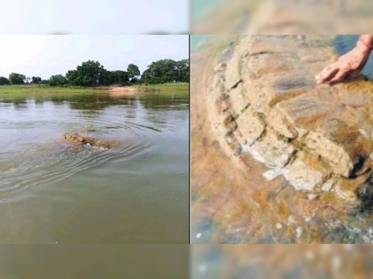 Odisha: 500-year-old temple submerged in Mahanadi river resurfaces