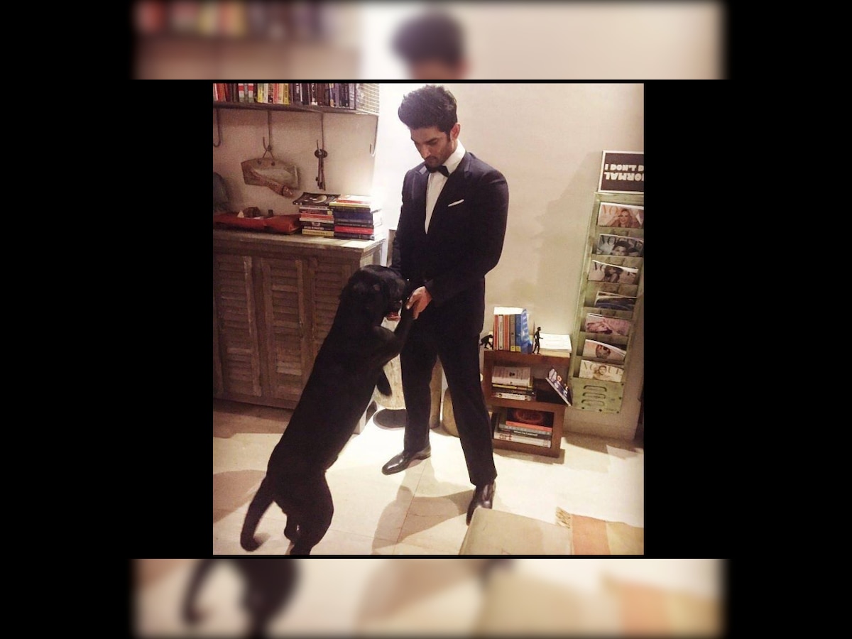 Videos: Sushant Singh Rajput's pet dog devastated, trying to find him in house