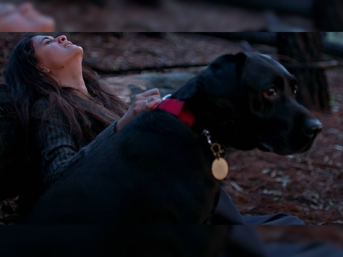 EXCLUSIVE - 'Have so many people challenging me': Keerthy Suresh on working with a dog in 'Penguin'