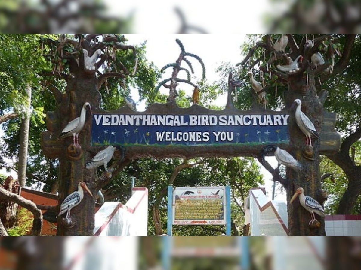 As Vedanthangal Bird Sanctuary faces wrath of 'development', environmentalists urge Tamil Nadu govt to save ecology 