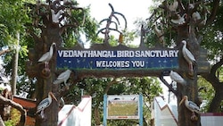 As Vedanthangal Bird Sanctuary faces wrath of 'development', environmentalists urge Tamil Nadu govt to save ecology 
