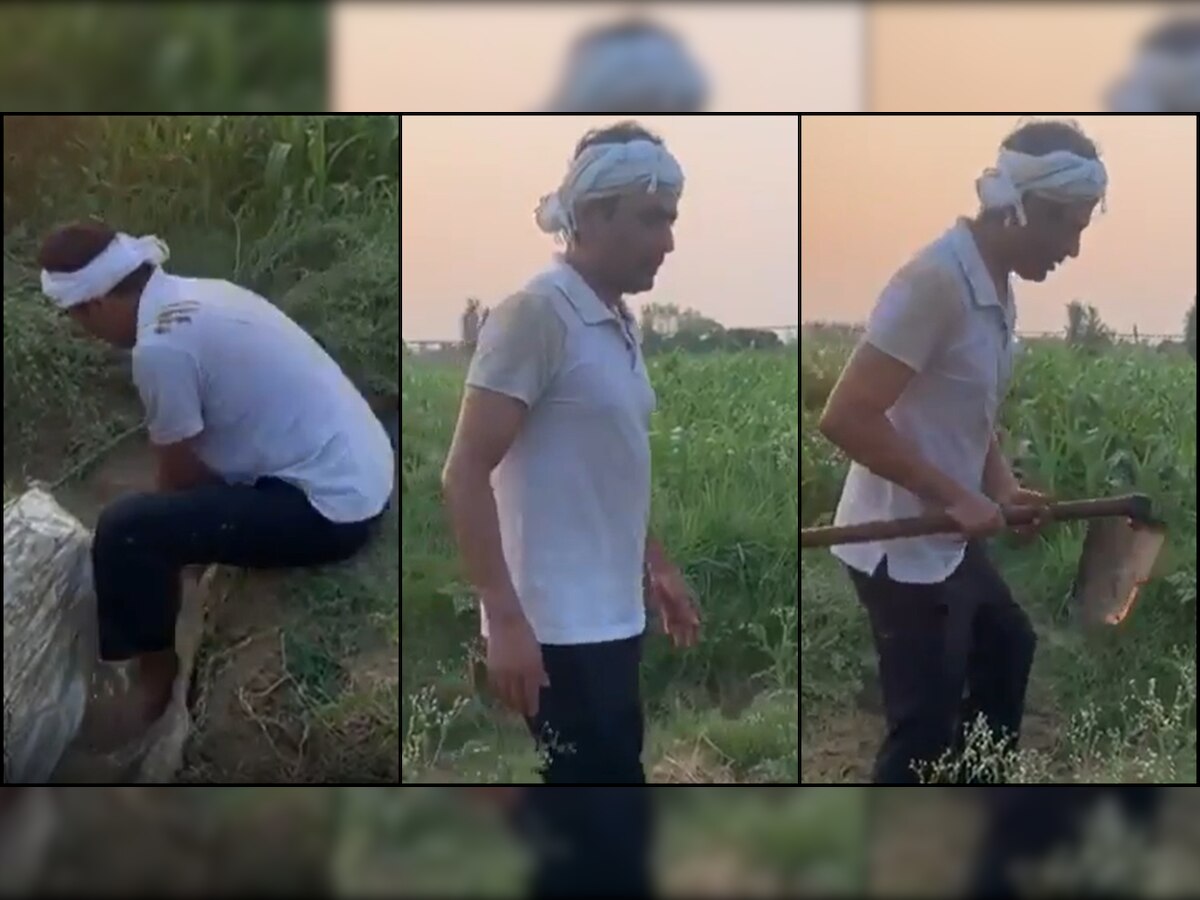 Video: Nawazuddin Siddiqui spends his day farming at hometown in UP