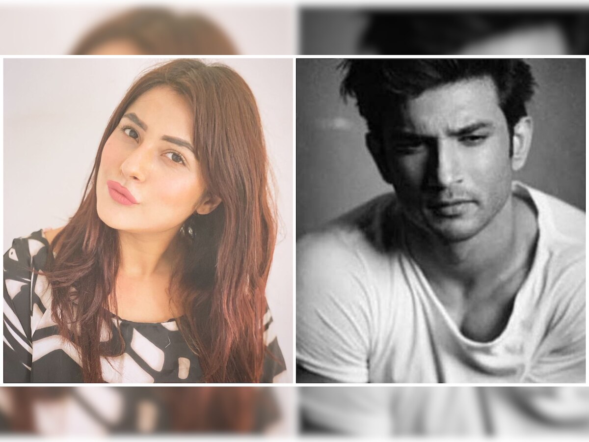 'He had to achieve more, had to become a bigger star than before': Shehnaaz Gill on Sushant Singh Rajput's tragic death