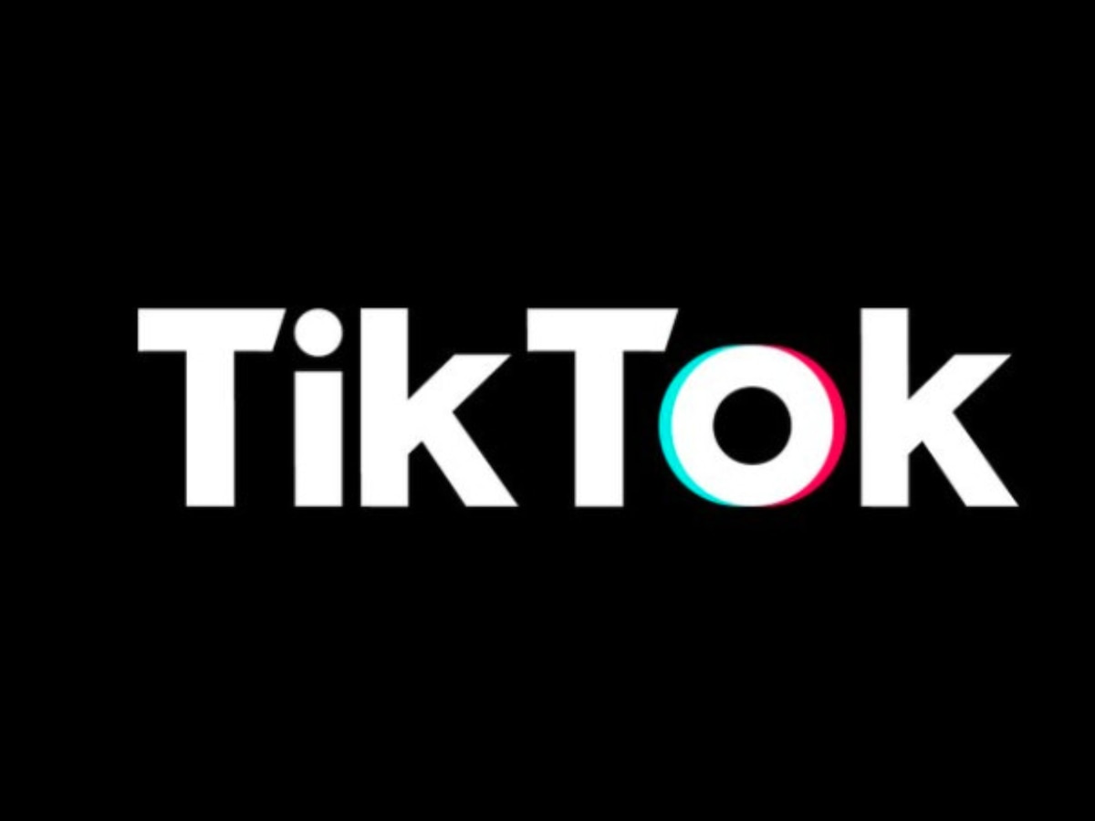 RIP TikTok! 'Thank you for saving our country': Nia Sharma, Karanvir Bohra, Kushal Tandon celebrate ban on Chinese apps