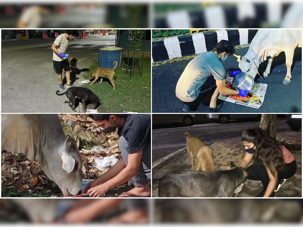 Exclusive: 17-year-old Rajveer Bansal opens up on his social start-up 'Teens For Tails' to help stray animals