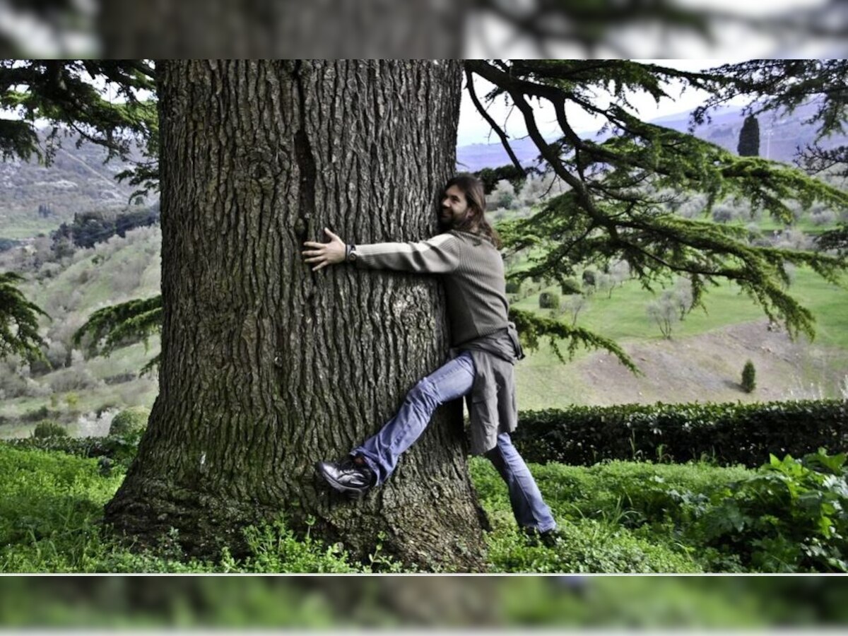 Can't hug loved one due to COVID-19? Hug a tree instead like people in Israel