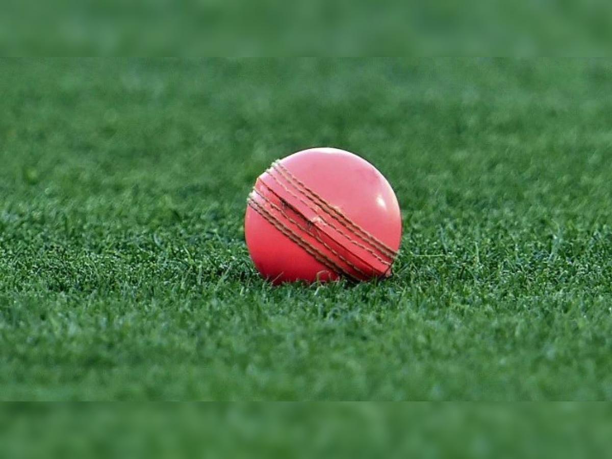Punjab Lions vs Nicosia Tigers CC, Dream11 Prediction: Best picks for PNL vs NCT today in ECS T10 Cyprus