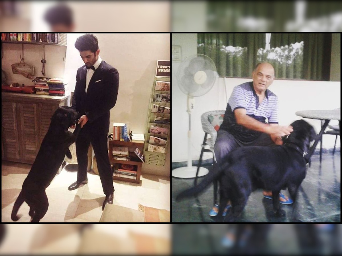 Fact check: Sushant Singh Rajput's pet dog Fudge still alive, spotted with actor's father KK Singh