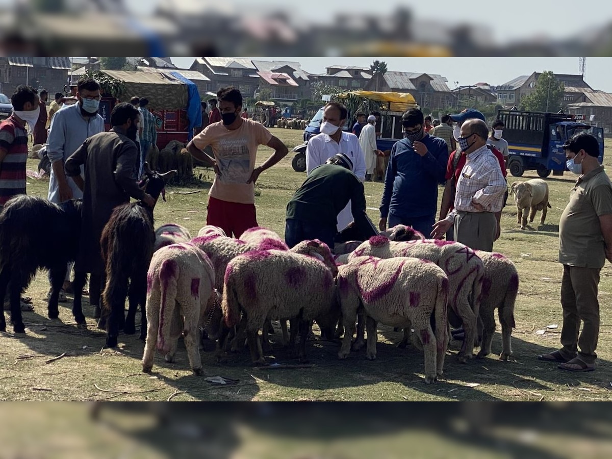 Kashmir markets reopen on eve of Eid amid COVID-19 concerns