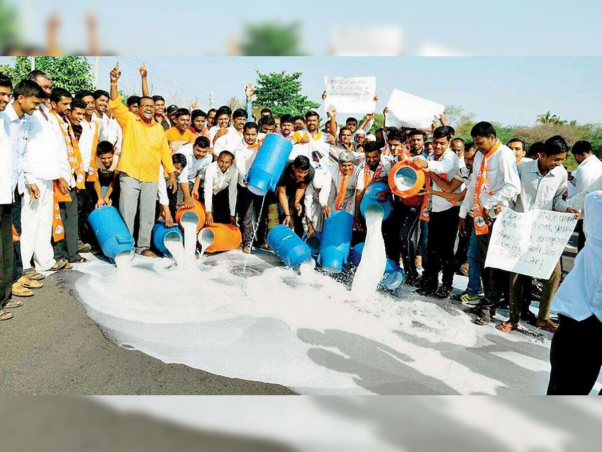Milk producers' protest intensifies in Maharashtra, demand Rs 30 per litre