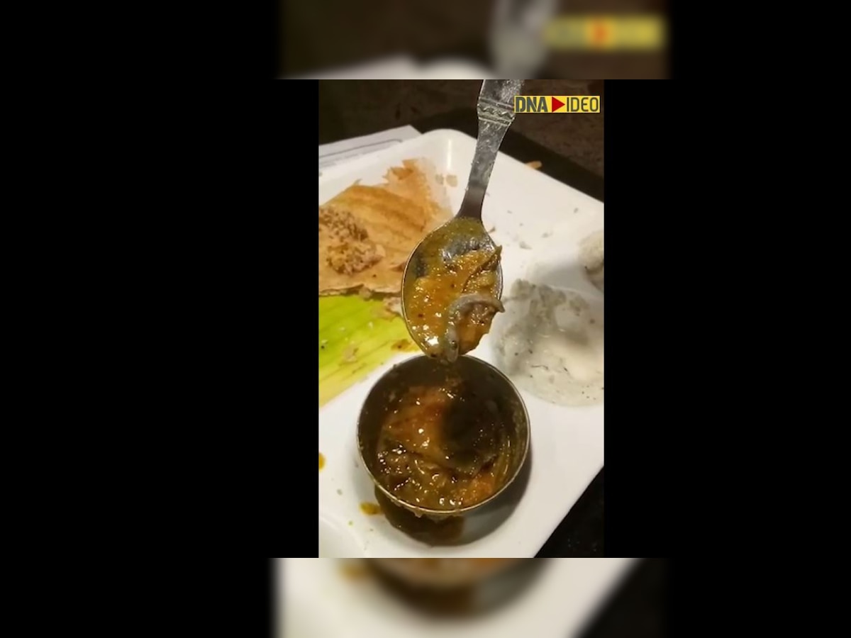 Viral: Man finds lizard in sambar at Delhi's top restaurant, FIR lodged